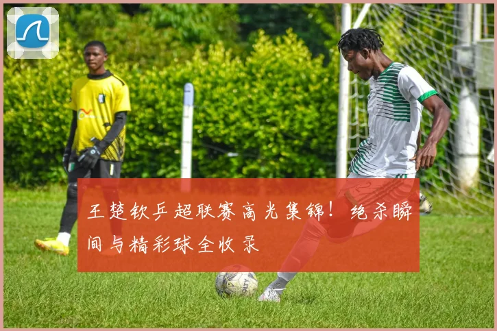 王楚钦乒超联赛高光集锦！绝杀瞬间与精彩球全收录