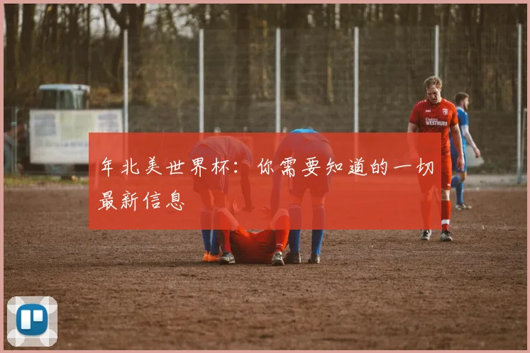 年北美世界杯:你需要知道的一切最新信息